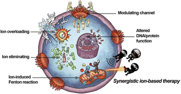 Graphical abstract: Ion interference and its combined therapies for cancer treatments