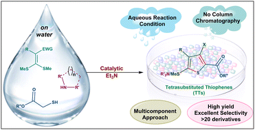 Graphical abstract: A green and cascade synthesis of functionalized 2-aminothiophenes from ketene dithioacetals