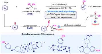 Graphical abstract: Copper-catalyzed radical transnitrilation of arylborons with dimethylmalononitrile and mechanistic insights