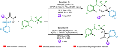 Graphical abstract: A photocatalytic hydrogen atom transfer and aryl migration strategy for the arylalkylation of activated alkenes with 1-(o-iodoaryl)-alkan-1-ones