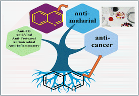Graphical abstract: Quinoline derivatives' biological interest for anti-malarial and anti-cancer activities: an overview