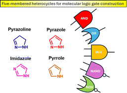 Graphical abstract: Five-membered heterocycles as promising platforms for molecular logic gate construction