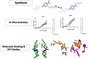 Graphical abstract: Synthesis, biological activities and computational studies of bis-Schiff base derivatives of 4-hydroxyacetophenone: insights from an in vitro, molecular docking and dynamics simulation approach