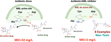 Graphical abstract: Development and in vitro evaluation of 1,4,7-triazacyclononane-coupled β-lactams against metallo-β-lactamase producing bacteria