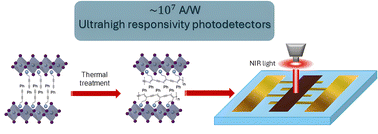 Graphical abstract: Air-processed, ultraresponsive NIR photodetectors using 2D perovskite hybrids