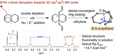 Graphical abstract: B–N axis as a facilitating agent for the synthesis of 3D structures: the paradigmatic case of BN-[4.4.4]propellane
