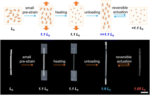 Graphical abstract: Fabricating liquid crystal actuators: from small pre-strain to large actuation strain