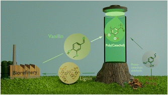 Graphical abstract: A vanillin bio-based redox polymer as a cathode material for lithium organic batteries