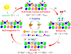 Graphical abstract: A Mo-cation/O-anion doping strategy for creating vacancy defects and cation multivalency to enhance the hydrogen evolution of ZnS under visible light