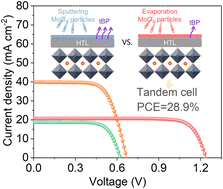 Graphical abstract: Optimization of the MoOX buffer layer for single-junction and four-terminal perovskite–silicon tandem solar cells