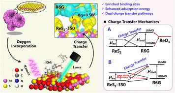 Graphical abstract: Oxygen-driven ReS2–ReO3 hybrid interfaces facilitate dual charge transfer pathways for noble-metal-free SERS