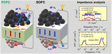 Graphical abstract: Assignment of elementary reactions to impedance components for solid-oxide fuel cells and proton-conducting ceramic fuel cells with Yb and Co-doped barium zirconate as the cathode