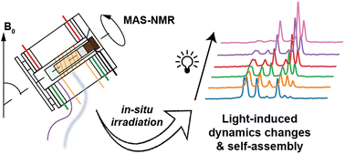 Graphical abstract: Probing photochemically-induced dynamic transitions by magic-angle-spinning NMR combined with in situ irradiation