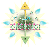 Graphical abstract: Unveiling the synergistic mechanism of transition metal–boron coordination in B4C12 nanosheets for electro- and photocatalytic nitrogen fixation