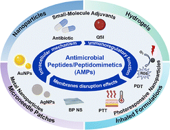 Graphical abstract: Combating the post-antibiotic era crisis: antimicrobial peptide/peptidomimetic-integrated combination therapies and delivery systems