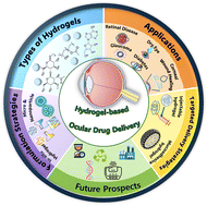 Graphical abstract: Hydrogel-based ocular drug delivery systems