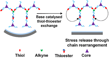 Graphical abstract: Rapid stress release through thiol–thioester exchange in phenylic crosslinked polymers
