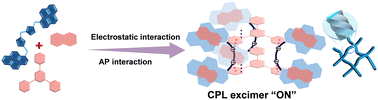 Graphical abstract: Activated circularly polarized luminescence in a chiral supramolecular template triggered by electrostatic and arene–perfluoroarene interactions