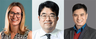 Graphical abstract: Introduction to rare earth materials