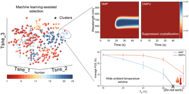 Graphical abstract: Beyond rapid nucleation: unveiling the role of solvent–precursor interactions in antisolvent-free perovskite fabrication
