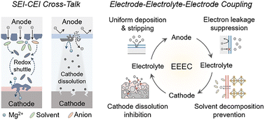 Graphical abstract: Dual interphase design stabilized Mg-metal batteries