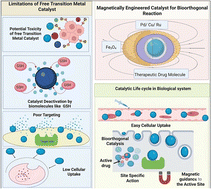 Graphical abstract: Catalysis under magnetic control: magnetic nanoparticles as next-generation bioorthogonal reactors