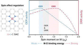 Graphical abstract: Spin effect regulation as a design principle for M–N–C catalysts for oxygen electrocatalysis