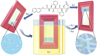 Graphical abstract: Lithium-selective supramolecular assembly and capture by tripeptide gelators