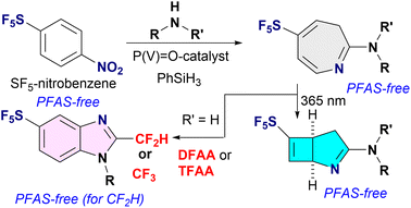 Graphical abstract: Bidirectional skeletal remodelling of SF5-nitrobenzenes into azepine, bicyclic, and benzimidazole frameworks