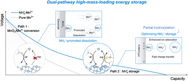 Graphical abstract: NH4+-mediated interfacial chemistry for collaborative dual-pathway high-mass-loading energy storage