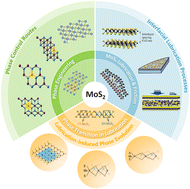 Graphical abstract: Phase engineering of two-dimensional MoS2: from structural evolution to tribological applications