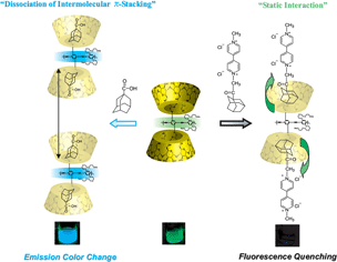 Graphical abstract: Cyclodextrin-grafted poly(phenylene ethynylene) with chemically-responsive properties