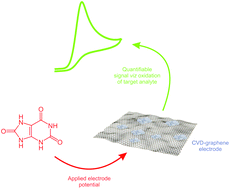 Graphical abstract: CVD graphene vs. highly ordered pyrolytic graphite for use in electroanalytical sensing