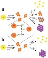 Graphical abstract: Multifunctional modified silver nanoparticles as ion and pH sensors in aqueous solution