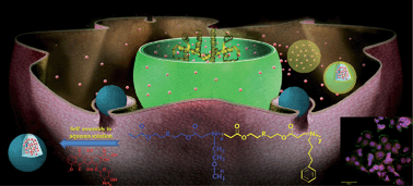 Graphical abstract: Reducible self-assembled micelles for enhanced intracellular delivery of doxorubicin