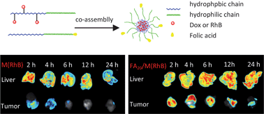 Graphical abstract: Targeting and anti-tumor effect of folic acid-labeled polymer–Doxorubicin conjugates with pH-sensitive hydrazone linker