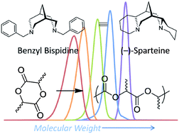 Graphical abstract: Benzyl bispidine as an efficient replacement for (−)-sparteine in ring opening polymerisation