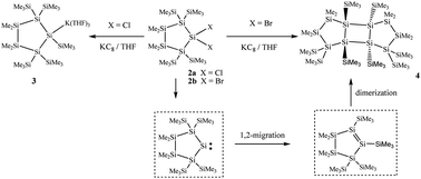 Graphical abstract: Reduction of the dihalocyclopentasilanes. A quest for a homocyclic silylene