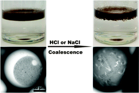Graphical abstract: Janus-like Pickering emulsions and their controllable coalescence