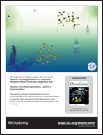 Graphical abstract: Back cover