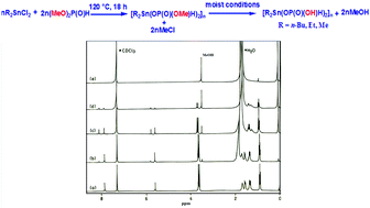 Graphical abstract: Synthesis, characterization and selective de-esterification of diorganotinbis(O-methylphosphite)s
