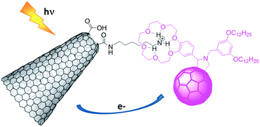 Graphical abstract: Photoinduced electron transfer in a carbon nanohorn–C60 conjugate