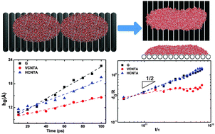 Graphical abstract: Coalescence of water films on carbon-based substrates: the role of the interfacial properties and anisotropic surface topography