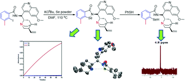 Graphical abstract: An ebselen like catalyst with enhanced GPx activity via a selenol intermediate