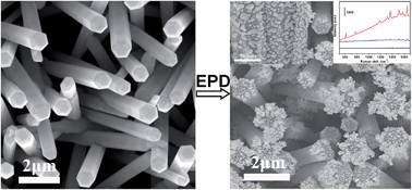 Graphical abstract: Electrophoretic fabrication of silver nanostructure/zinc oxide nanorod heterogeneous arrays with excellent SERS performance