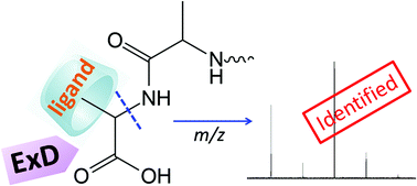 Graphical abstract: Structural analysis of small to medium-sized molecules by mass spectrometry after electron-ion fragmentation (ExD) reactions