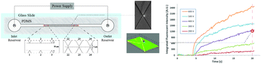Graphical abstract: Concentration of Sindbis virus with optimized gradient insulator-based dielectrophoresis