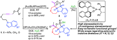 Graphical abstract: Gold(i)-catalyzed highly stereoselective synthesis of polycyclic indolines: the construction of four contiguous stereocenters