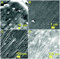 Graphical abstract: Fabrication of cm scale buckypapers of horizontally aligned multiwalled carbon nanotubes highly filled with Fe3C: the key roles of Cl and Ar-flow rates
