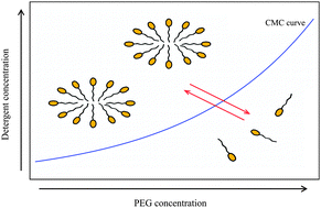 Graphical abstract: The influence of poly(ethylene glycol) on the micelle formation of alkyl maltosides used in membrane protein crystallization